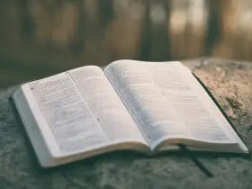 Otwarta Biblia leży na kamieniu, gotowa do czytań na ślub.