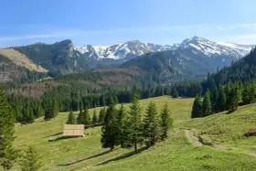 Piękne doliny w Tatrach. Zielone hale, lasy świerkowe i ośnieżone szczyty tworzą malowniczy krajobraz. Drewniana bacówka dodaje uroku.