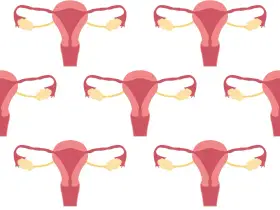 Schemat układu rozrodczego kobiety. Badanie CA 125 może pomóc w diagnostyce chorób ginekologicznych.