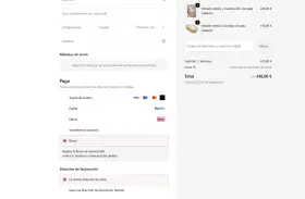 Proceso de pago en una plataforma de pago online. Se muestran opciones como tarjeta de crédito, PayPal, Klarna, transferencia bancaria y Bizum.