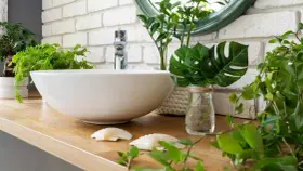 Une vasque blanche sur un plan de travail en bois, entourée de verdure. Une **plante de salle de bain** apporte une touche de fraîcheur à ce décor zen.