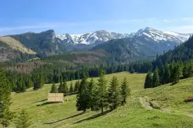 Piękne doliny w Tatrach, porośnięte lasem świerkowym, z ośnieżonymi szczytami w tle i drewnianą chatką na zielonej polanie.