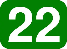 Biała liczba 22 na zielonym tle. Liczba 22 znaczenie w numerologii to harmonia, równowaga i intuicja.