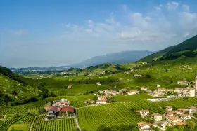 Colline verdi con vigneti a perdita d'occhio, case sparse e montagne sullo sfondo. Un paesaggio incantevole per scoprire Conegliano e dintorni cosa vedere.