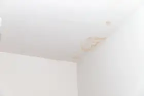 Brązowe plamy na białym suficie, świadczące o zacieku.