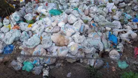 Góra zużytych pieluch, gdzie wyrzucać pampersy? To pytanie zadaje sobie wielu rodziców, widząc taki widok.
