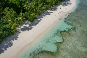 Rajska plaża z palmami i turkusową wodą. Czy Seszele są bezpieczne? Tak, to idealne miejsce na spokojny wypoczynek.