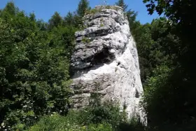 Wysoka, biała skała w otoczeniu zieleni, przypominająca fragmenty skalnego miasta w Polsce.