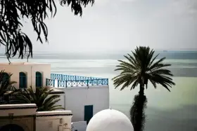 Białe budynki z niebieskimi okiennicami i balustradą, palma i morze. Czy Tunezja jest bezpieczna? Widok sugeruje spokój i piękno.