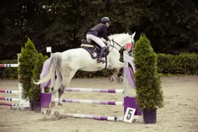 Un cavalier et un jeune cheval blanc sautent un obstacle lors d'une compétition équestre.