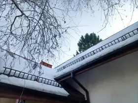 Dach stromy pokryty śniegiem, z drabinkami zabezpieczającymi przed lawinami. Gałęzie drzew wiszą nad nim.
