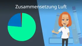 Diagramm zeigt Luftzusammensetzung. Ein großer Teil ist grün, ein kleinerer blau, und ein winziger roter Sektor. Eine Frau mit roten Haaren steht vor Ordnern. Der grüne Teil repräsentiert Stickstoff, der blaue **Sauerstoff**.