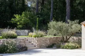 Aménagement d'un jardin en pente : terrassement paysager avec murs en pierre sèche, escalier et olivier.