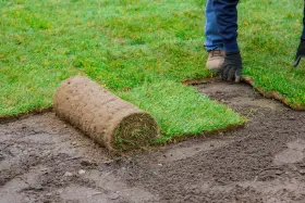 Układanie rolki trawy na przygotowanym podłożu. Sianie trawy w rolkach to szybki sposób na piękny trawnik.