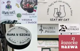 Kolekcja fajnych nazw zespołów i firm: "Urwał Nać!", "Siat My Cat", "Mama w Szoku", "Diabeł ubiera się na pradze", "Nie po palcach", "Brat Pit", "Kozacka nazwa".