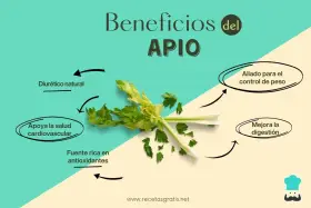 El apio, con sus múltiples propiedades, es un diurético natural, aliado para el control de peso, apoya la salud cardiovascular y mejora la digestión.