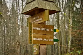 Drewniany drogowskaz w lesie wskazuje drogę do "SKALNE GRZYBY" (1h) i "NIKNĄCA ŁĄKA" (0h40).