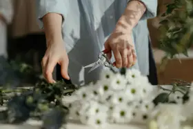 Dzień florysty. Dłonie przycinają zielone gałązki, obok bukiet białych kwiatów.