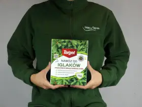 Jaki nawóz do iglaków na wiosnę, aby uniknąć brązowienia igieł?