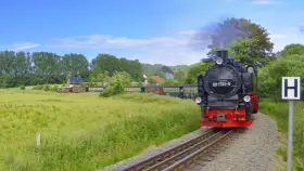 Parowóz z wagonami jedzie przez zielone pola, jakby to był dojazd z Polski do Rugii.