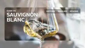 Un verre de vin blanc, un guide du sauvignon blanc, avec des options pour l'histoire, les saveurs et les régions.