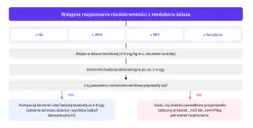 Schemat diagnostyki niedokrwistości z niedoboru żelaza u niemowlaka. Wskazuje na badania, dawkowanie żelaza i kontrolę leczenia.