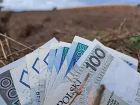 Pieniądze, w tym banknot 100 zł, leżą na ziemi. Zastanawiasz się, jaka emerytura z KRUS wynosi netto?