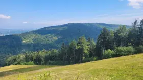 Zielone, zalesione wzgórza Myślenic pod błękitnym niebem. Słoneczna polana na pierwszym planie.