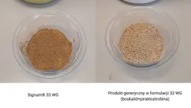 Dwa naczynia z granulatem. Po lewej Signum® 33 WG, po prawej produkt generyczny.