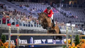Cavalier en tenue rouge saute un obstacle lors d'une compétition équestre, visant la victoire à la **equestrian cup**.