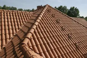 Nowy, czerwony gąsior dachowy lśni w słońcu, tworząc malowniczy krajobraz.