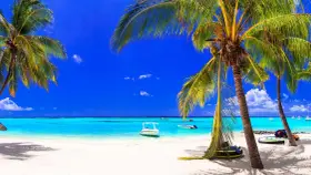 Rajska plaża na Mauritiusie w czerwcu. Błękitne niebo, turkusowa woda i palmy tworzą idealną pogodę na wakacje.