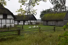 Stare chaty z krytymi strzechą dachami, gęsi pasące się na trawie. W tle drewniany płot i drzewa. Kluki cennik.