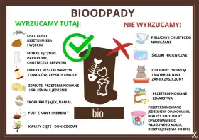 Gdzie wyrzucać resztki jedzenia? Do bio trafiają kości, obierki, fusy, zepsute jedzenie. Nie wyrzucaj pieluch, środków higienicznych ani odchodów zwierząt.