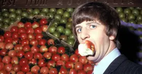 Ringo Starr, perkusista The Beatles, gryzie jabłko na tle stosów czerwonych i zielonych owoców.