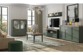 Elegancki salon z meblami w kolorze khaki. W centrum stolik kawowy, obok komoda i witryna. Na ścianie telewizor i półka.