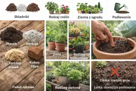 Różne rodzaje ziemi do kwiatów doniczkowych: składniki, rodzaje roślin, ziemia z ogrodu, podlewanie, zioła, rośliny balkonowe, zielone.