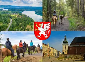 Jazda konna Dębica: Gdzie, ile, dla kogo? Pełny przewodnik