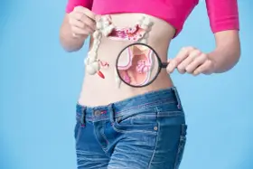 Model jelita z widocznymi uchyłkami esicy, badany przez lupę.