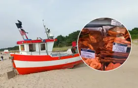 Czerwono-biała łódź na plaży. W okręgu widać ryby i tabliczki z cenami, np. "wyprawa na dorsza cennik".
