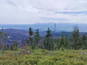 Widok z Rabki Zdrój na Tatry. W oddali majaczą ośnieżone szczyty, a bliżej zielone doliny i lasy.