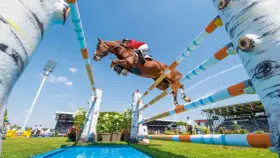 Un magnifique cheval de course brun saute par-dessus un obstacle coloré, sous un ciel bleu clair, lors d'une compétition équestre devant une foule attentive.