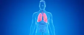 Menschlicher Torso mit roten Lungen, die auf COPD und die Notwendigkeit einer Pflegestufe hinweisen.