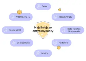 Schemat przedstawiający najsilniejsze antyoksydanty w kosmetykach: witaminy C i E, selen, koenzym Q10, beta-karoten, polifenole, luteina, zeaksantyna, resweratrol.