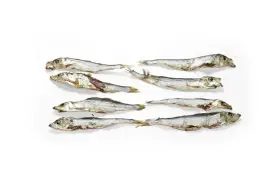 Suszone szprotki ułożone w rzędach. Czy szprotki są zdrowe? Tak, to bogactwo kwasów omega-3 i białka.