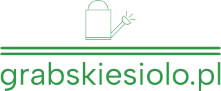 grabskiesiolo.pl