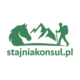 stajniakonsul.pl