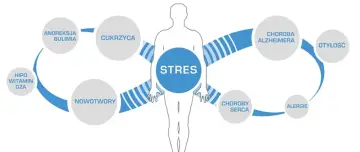 Stres jako źródło wielu chorób cywilizacyjnych: anoreksji, bulimii, cukrzycy, nowotworów, chorób serca, Alzheimera, alergii i otyłości.