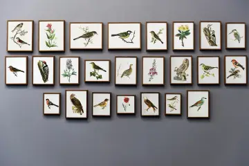 Kolekcja obrazów ptaków w formacie 30x40, każdy z nich to małe dzieło sztuki.