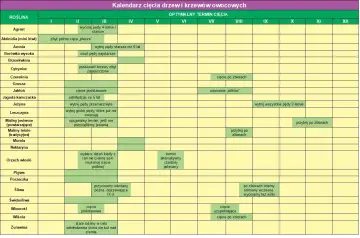 Kalendarz cięcia drzew i krzewów owocowych: Agrest, Aronia, Borówka, Brzoskwinia, Cytryniec, Czereśnia, Grusza, Jabłoń, Jagoda kamczacka, Jeżyna, Leszczyna, Maliny, Morela, Nektaryna, Orzech włoski, Pigwa, Porzeczka, Śliwa, Świdośliwa, Winorośl, Wiśnia...